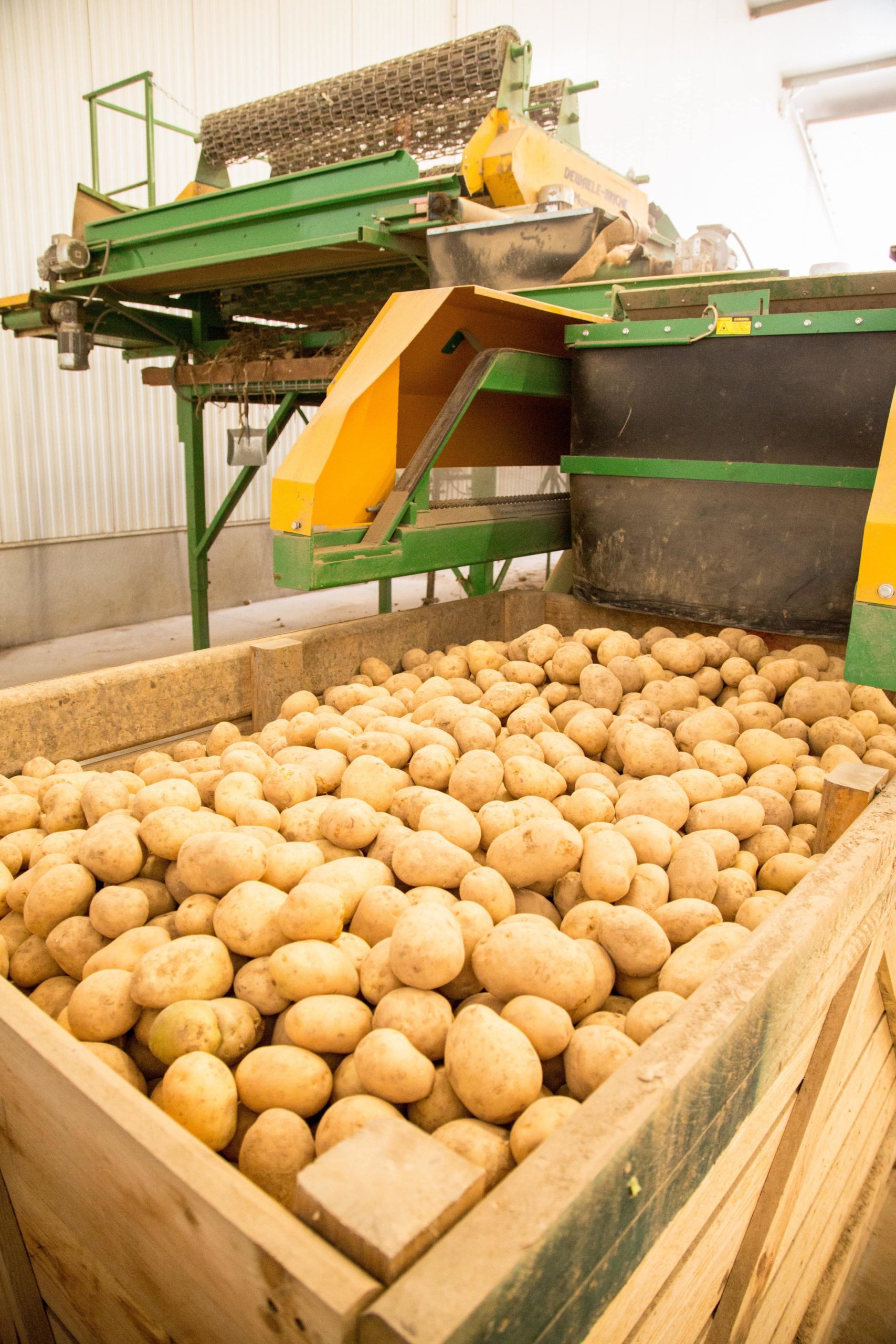 6,1 M tonnes récoltées 