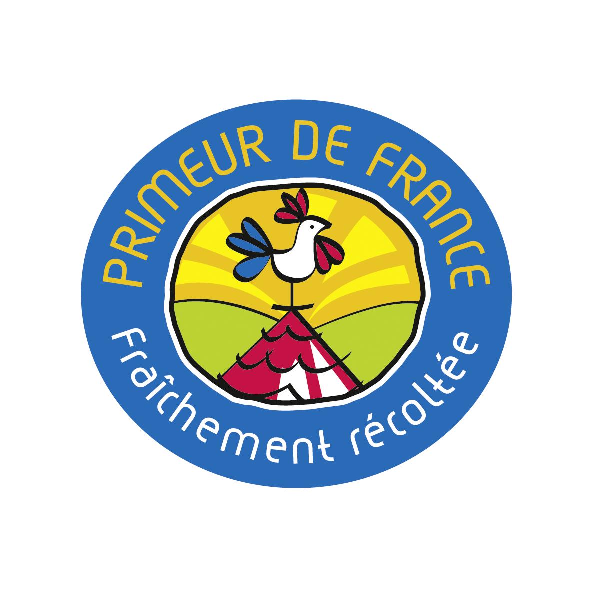Communication de la Section Nationale Pomme de terre Primeur